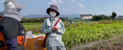 農学職職員が働く風景