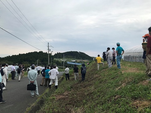 画像：ラジコン草刈機による傾斜地での草刈り2