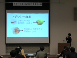 発表の様子
