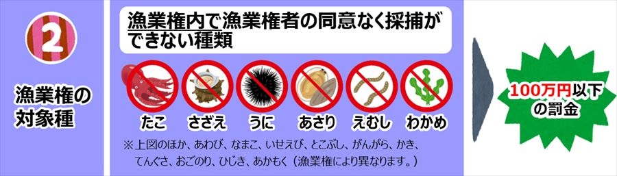 漁業権の対象種のイラスト
