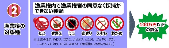 特定水産動植物のイラスト