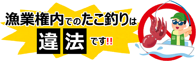 漁業権内でのたこ釣りは違法です！