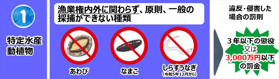 特定水産動植物のイラスト