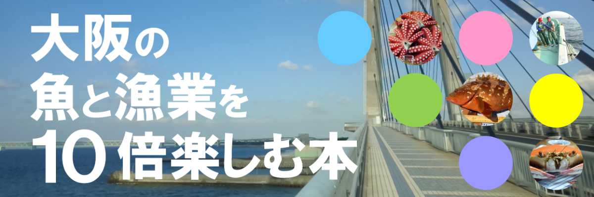 10倍パンフレットバナー