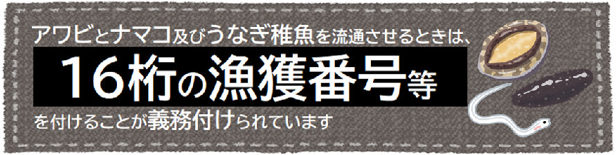アワビとナマコ及びうなぎ稚魚を流通させるときは、16桁の漁獲番号等を付けることが義務付けられています