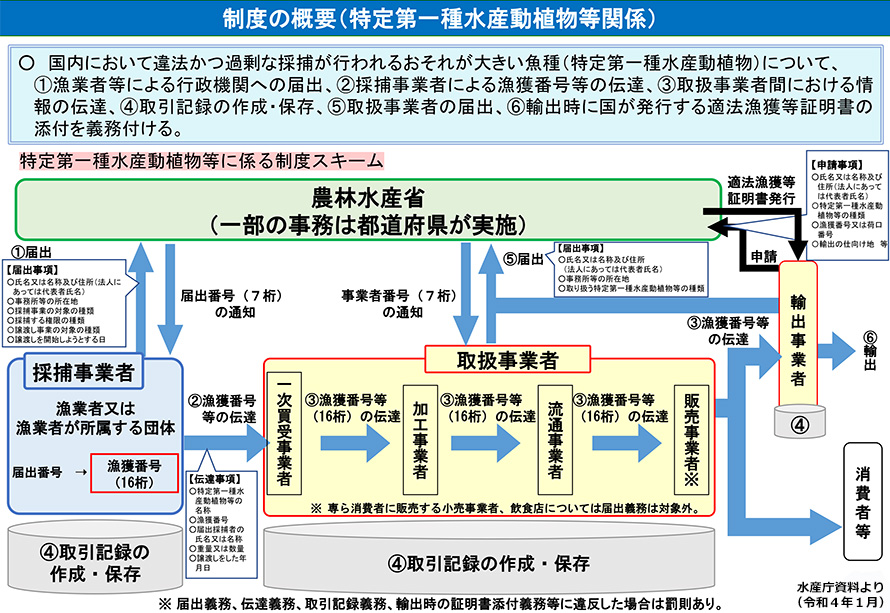 水産流通適正化制度スキームの画像