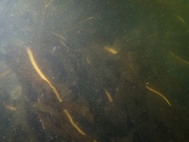 B2025052