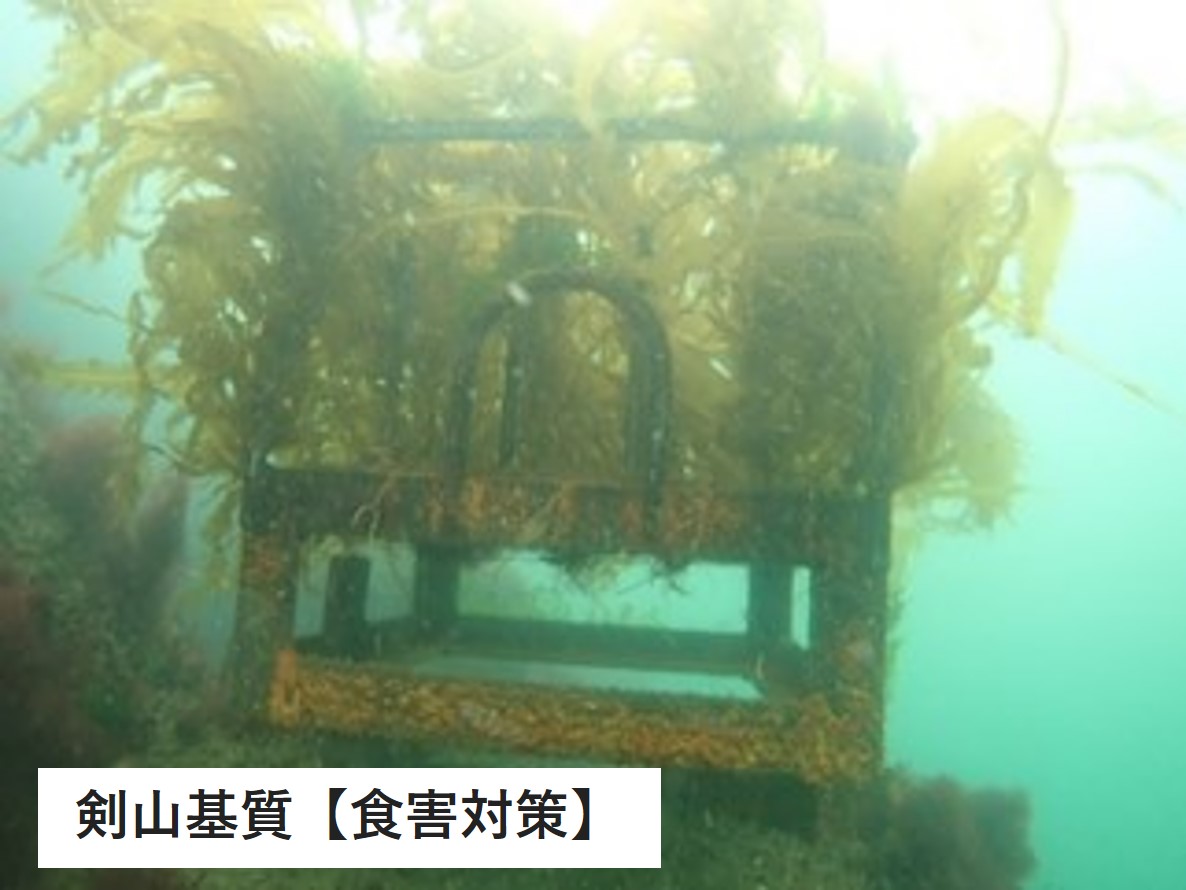 中山製鋼所2503剣山