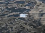 街中や水辺に捨てられたごみの写真3