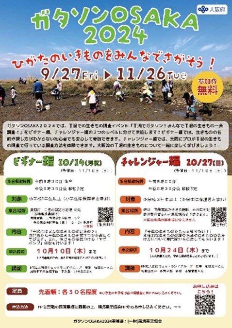 ガタソンOSAKA2024干潟の生きものをみんなで探そう！