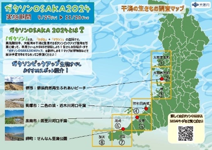 ガタソンOSAKA2024干潟の生きものをみんなで探そう！
