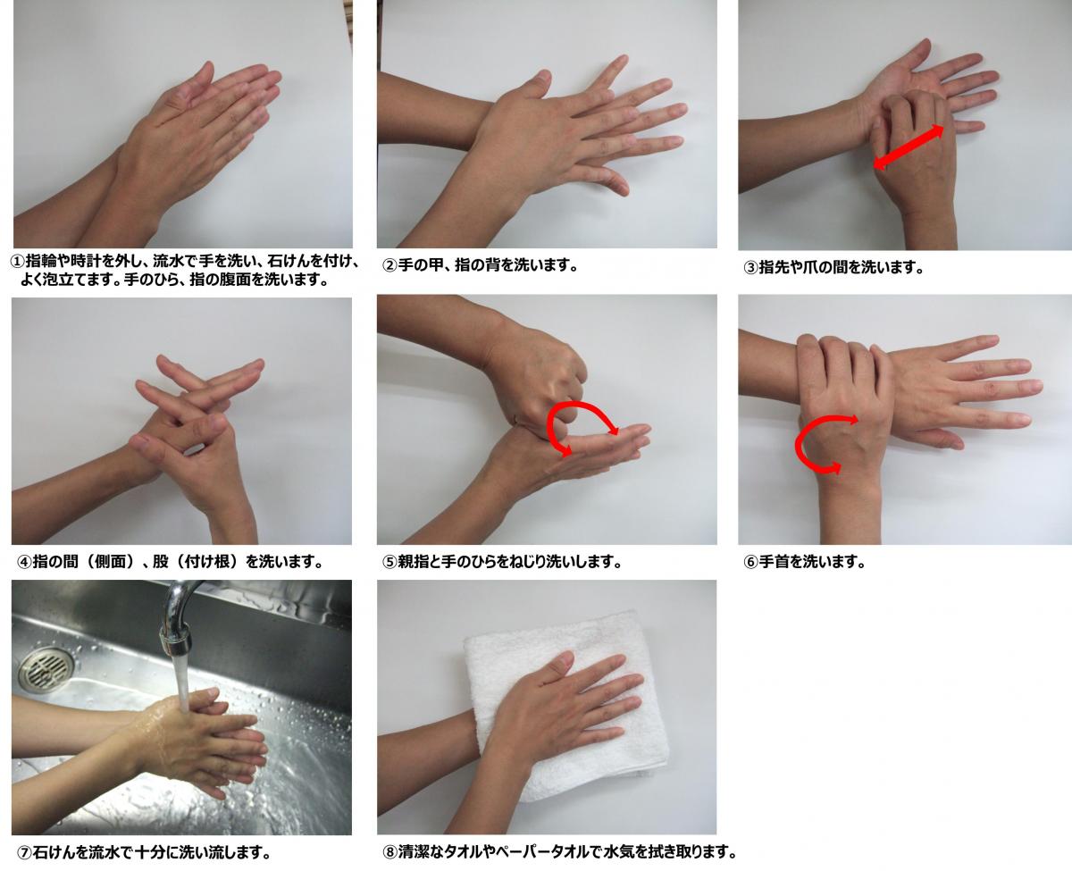 手洗い方法