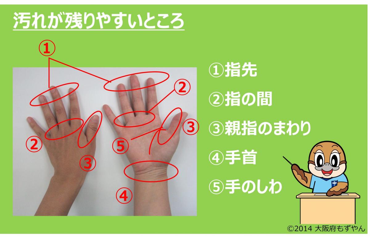 ポイント