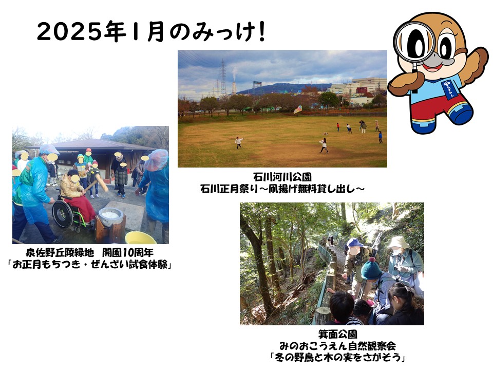 1月のみっけ