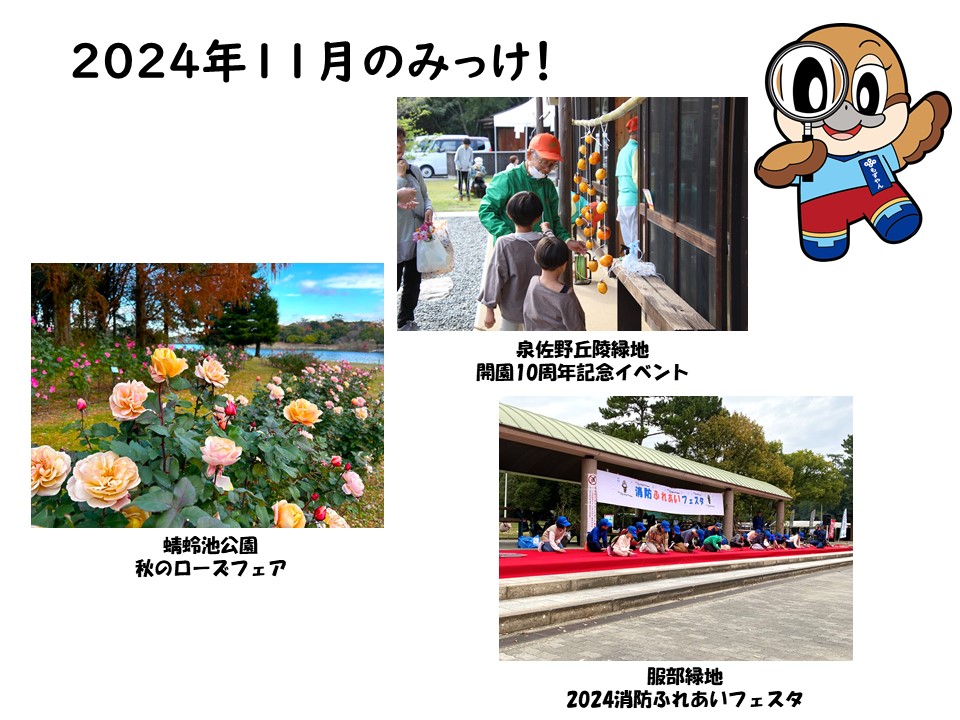 11月のみっけ