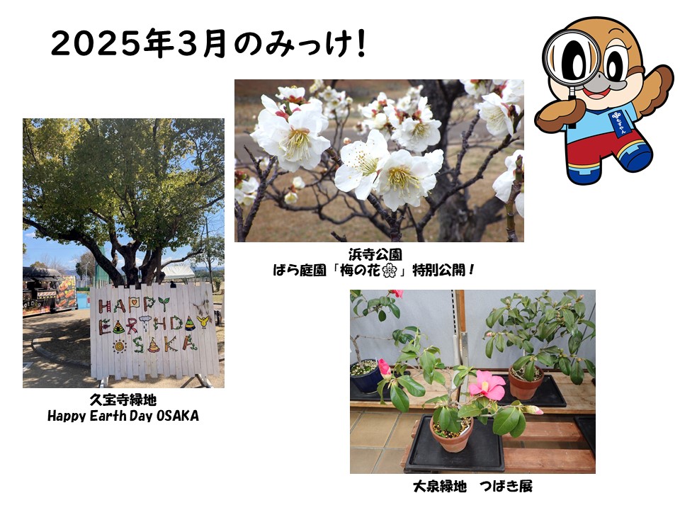 3月のみっけ