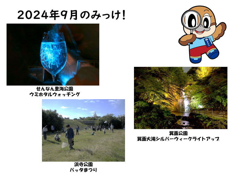9月の公園みっけ