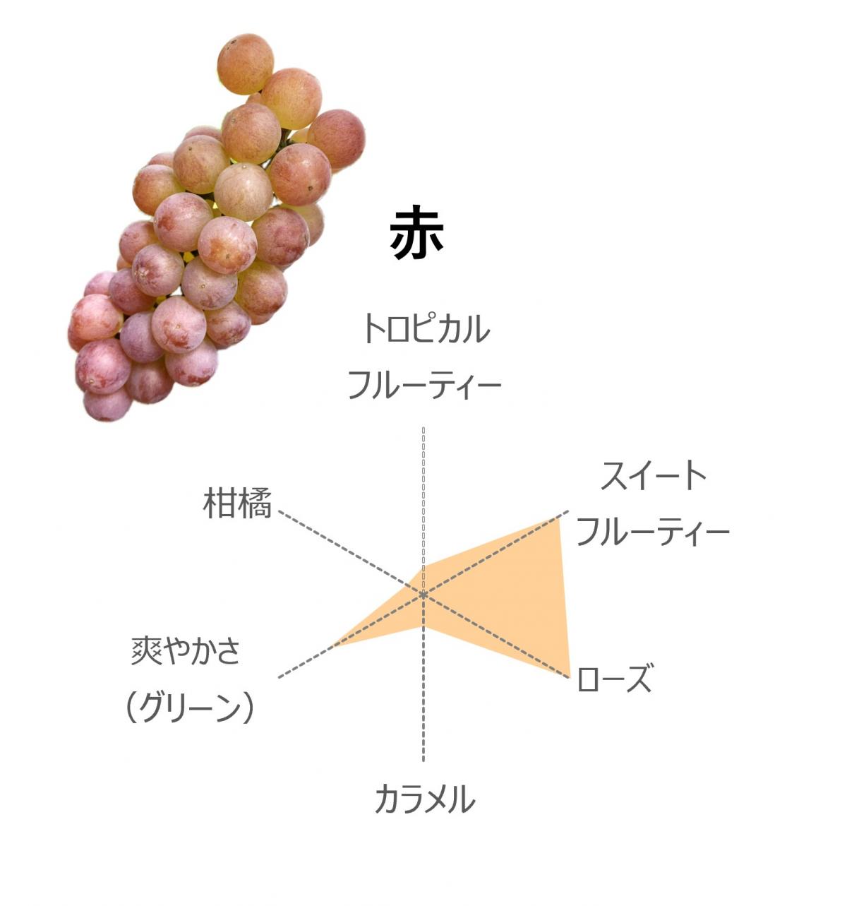 赤