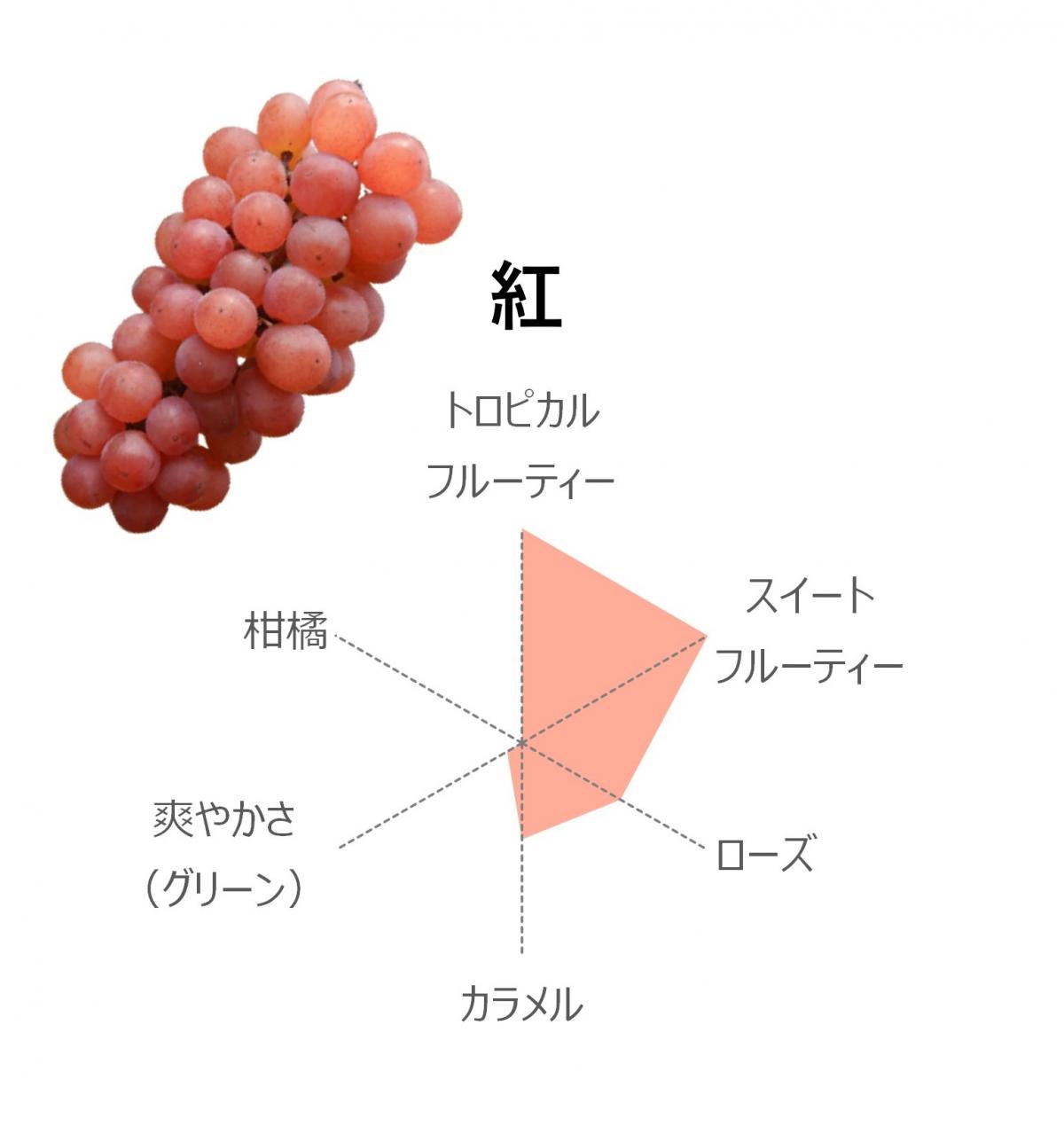 紅