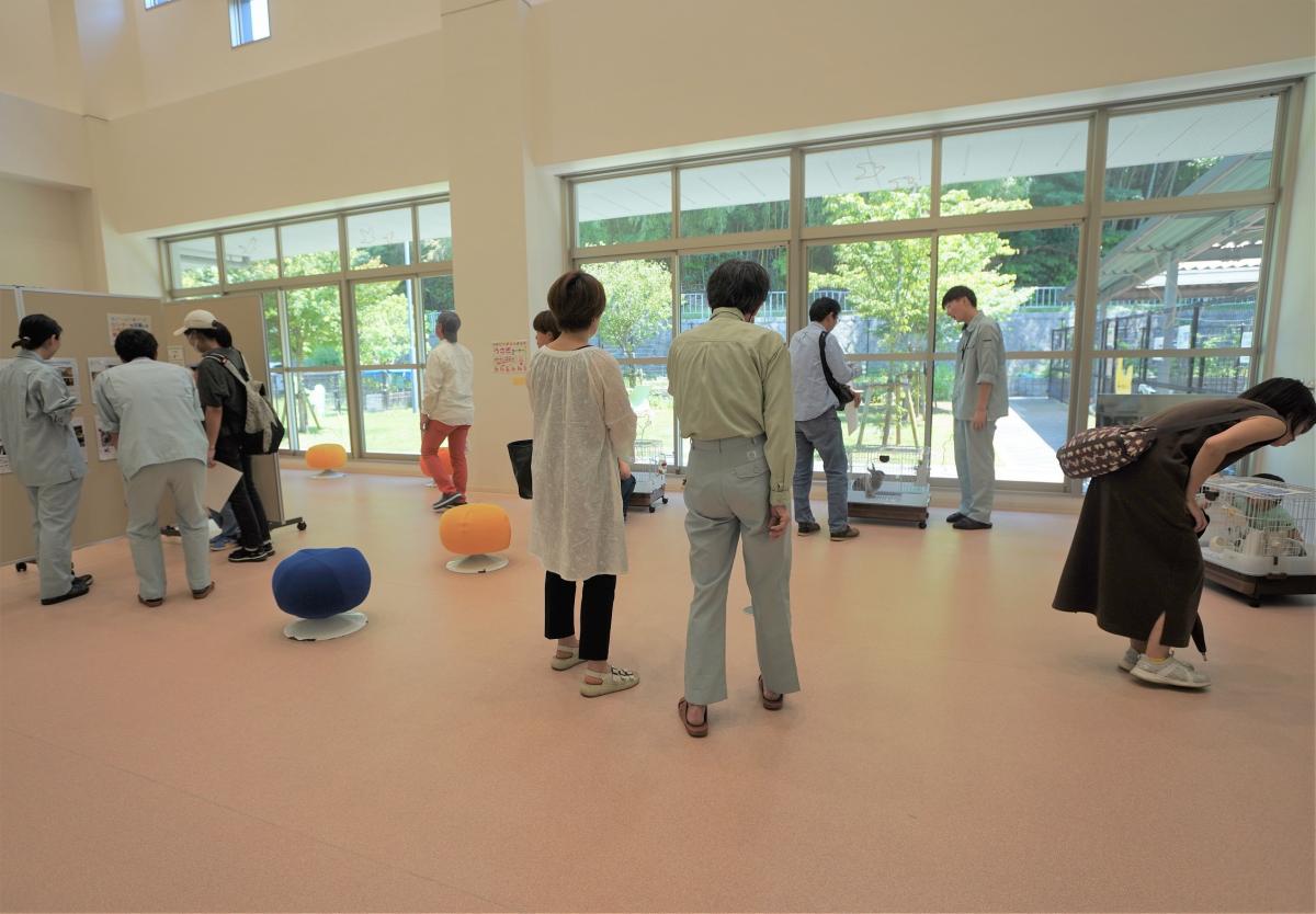 譲渡会の様子2