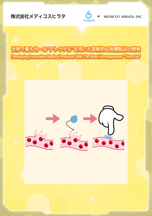 サムネイル（メディコスヒラタ）