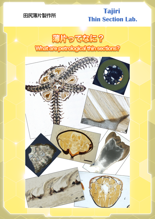 サムネイル（田尻薄片）
