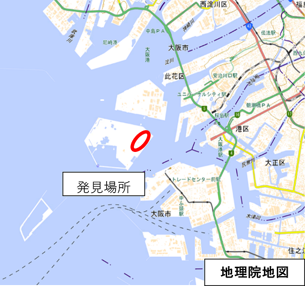 発見場所