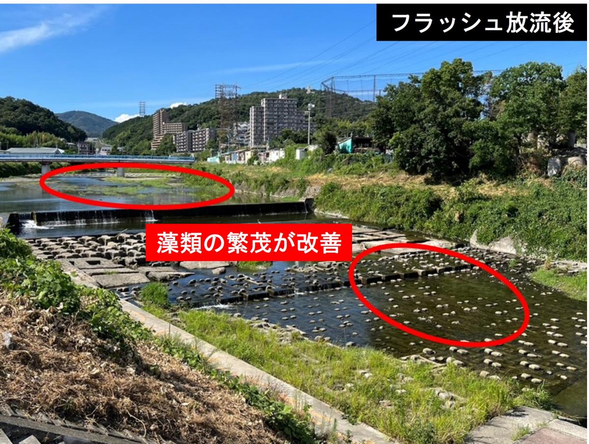 フラッシュ放流後