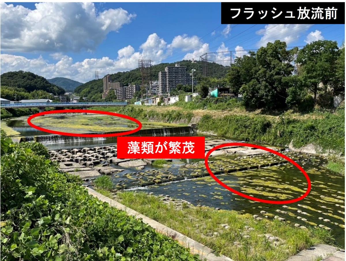 フラッシュ放流前