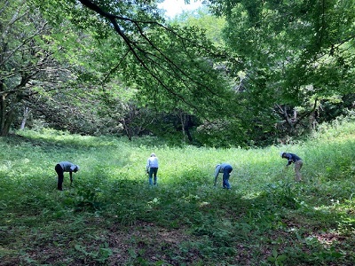 作業中の画像