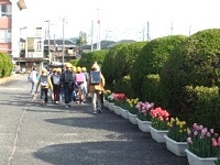 プランターが並んでいる写真