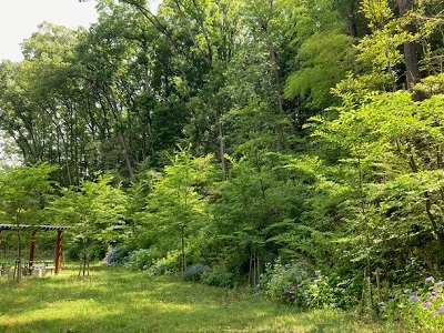 作業前の画像