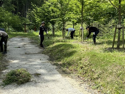草刈り作業の画像