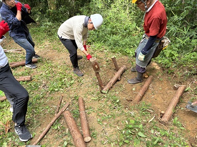 階段整備の画像その2