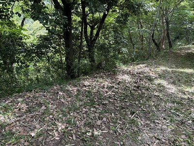 作業後の画像その2