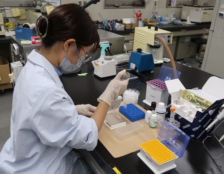 検査技師による感染症関連検査