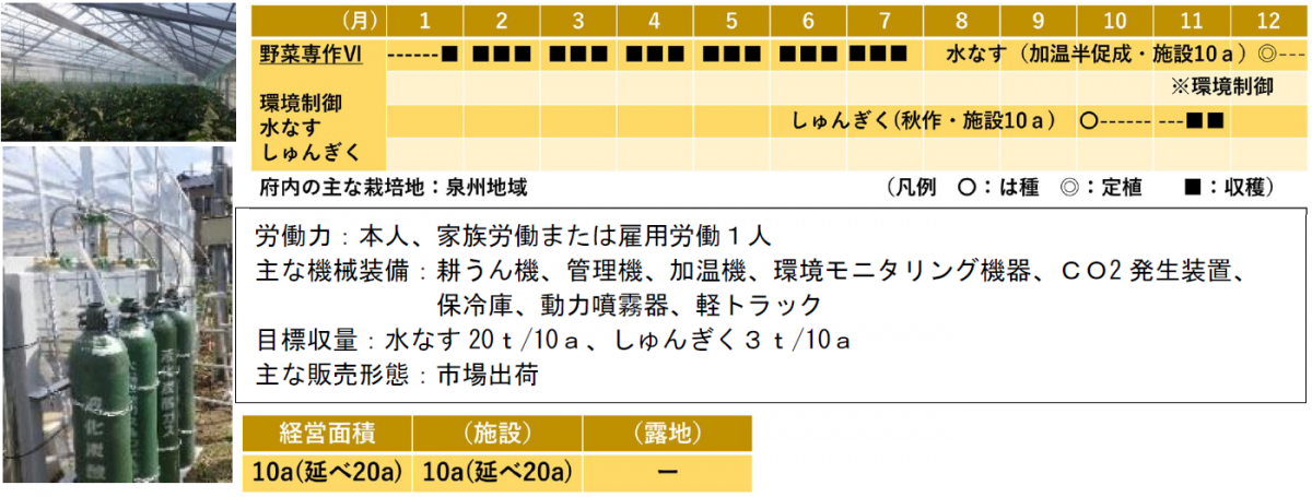 6-野菜