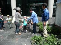 植物を配布している様子