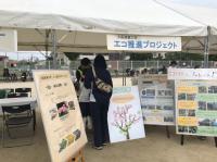 エコ推進プロジェクト写真1