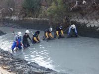 河川改修工事前に生物を保護する様子