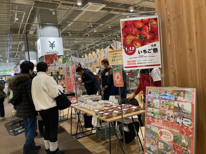 いちご販売