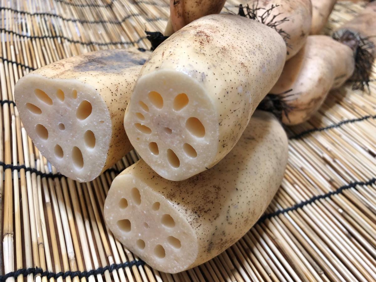 河内れんこんの生産物の写真