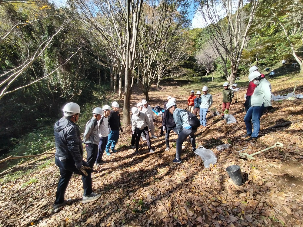 苗木の植え方の説明