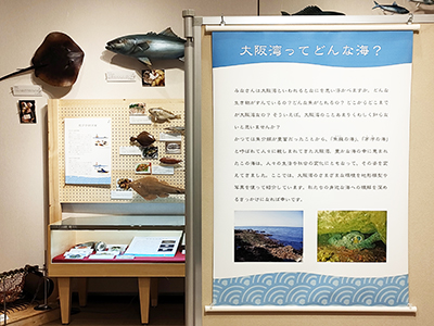 海の恵み2