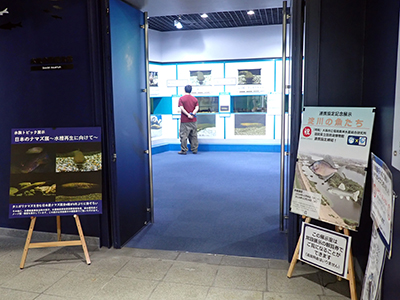 琵琶湖博物館展示1