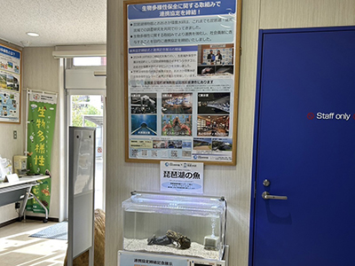 生物多様性センター展示1