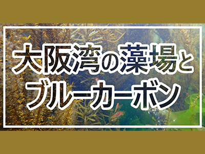 大阪湾セミナー1