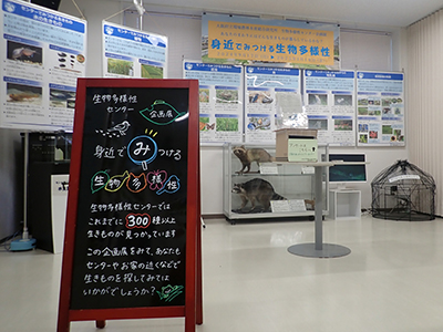 身近でみつける生物多様性1