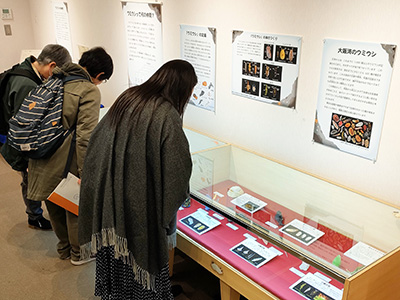 ウミウシ展5