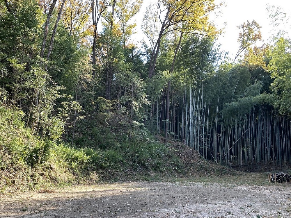 枚方市東部資源循環センター緩衝緑地の画像その2